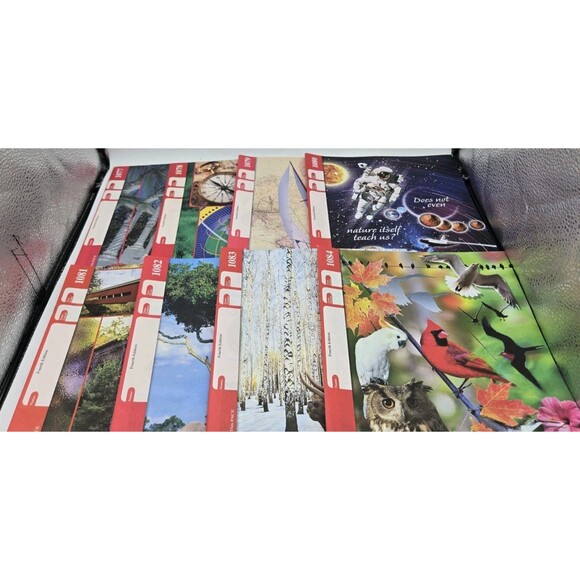 ACE School Of Tomorrow English Paces 1077-1084 & Score Keys 1073-1084 7th Grade - Picture 8 of 10